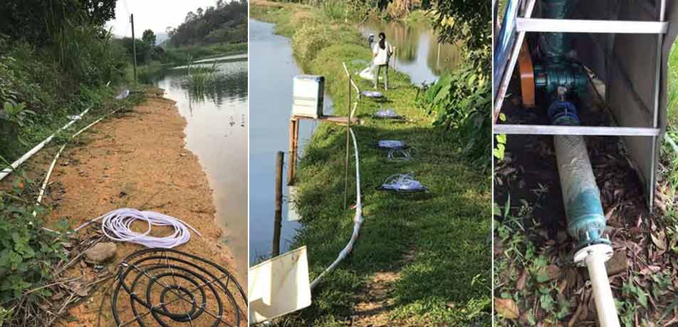 微孔曝氣羅茨鼓風(fēng)機(jī)底部曝氧在蟹蝦混養(yǎng)中應(yīng)用廣泛 微孔曝氣羅茨鼓風(fēng)機(jī)底部曝氧在蟹蝦混養(yǎng)中應(yīng)用廣泛